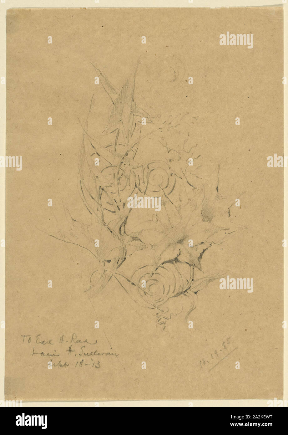 Plant Form Study, 1885, Louis H. Sullivan, American, 1856-1924, United States, Pencil on paper, 19.8 × 14 cm (18 × 14 in Stock Photo