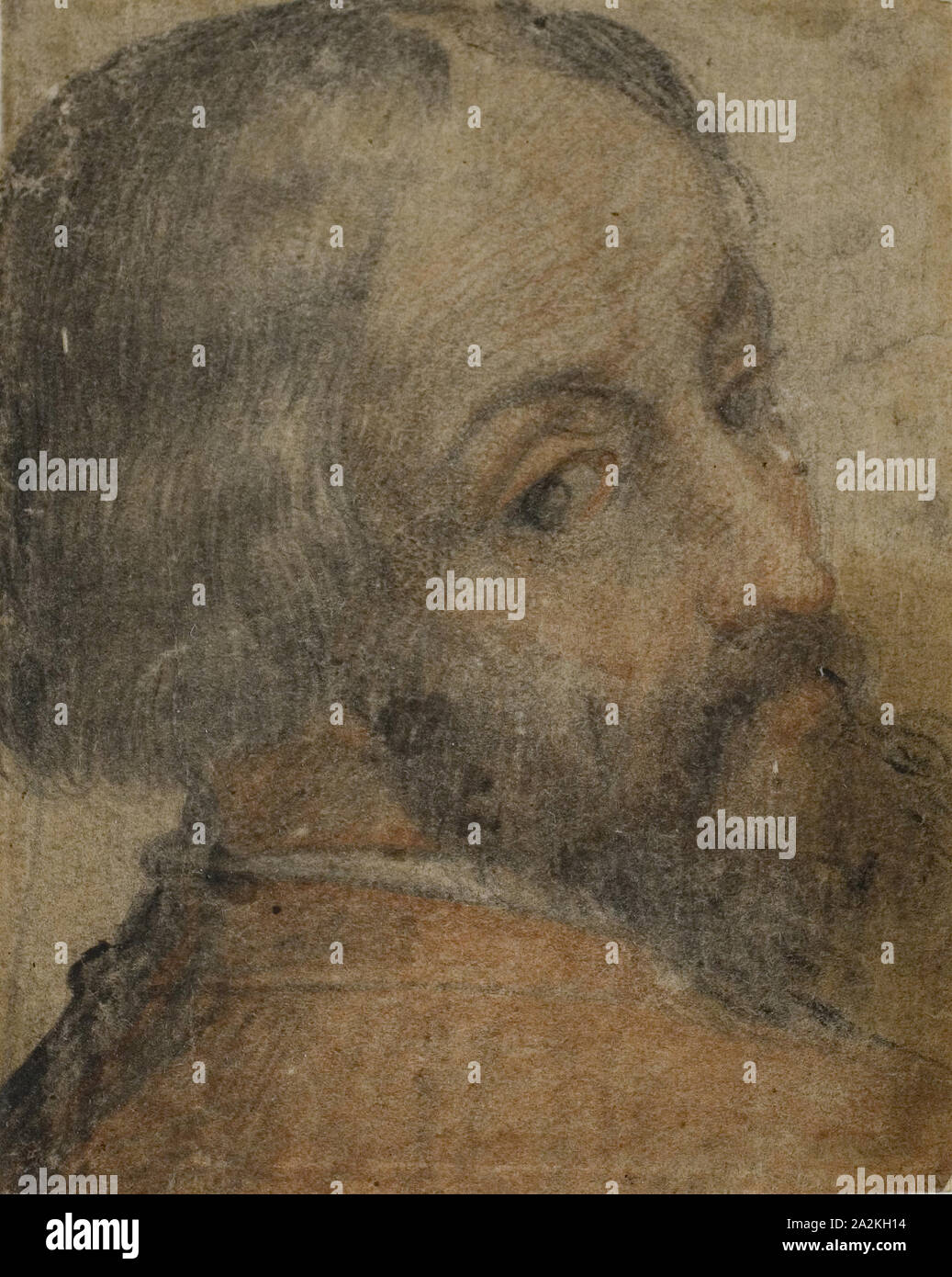 Portrait of Bearded Man (Lodovico Ariosto?), 1550/59, Italian, Mid-16th Century, Italy, Red and black chalk on cream laid paper, laid down on cream laid paper, 100 x 80 mm Stock Photo