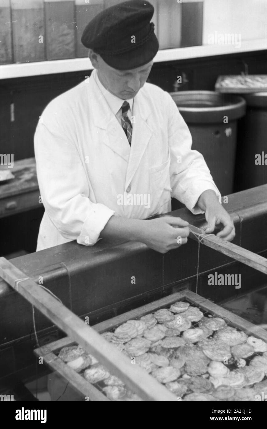 Germany 1930s culture Black and White Stock Photos & Images - Alamy
