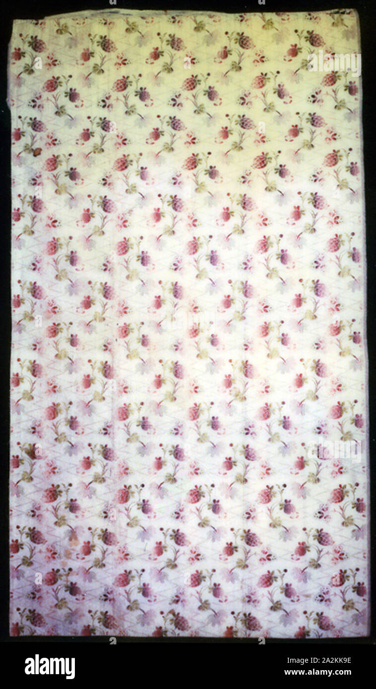 Panel, 1750/1800, England, Spitalfields, England, Silk, plain weave with supplementary patterning warp floats, 95.9 × 55 cm (37 3/4 × 21 5/8 in Stock Photo