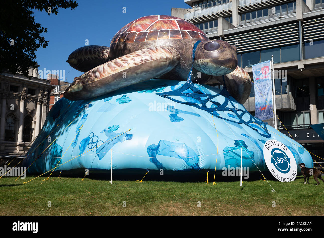 Giant Plastic Turtle on plastic outside the QE2 Conference Centre to