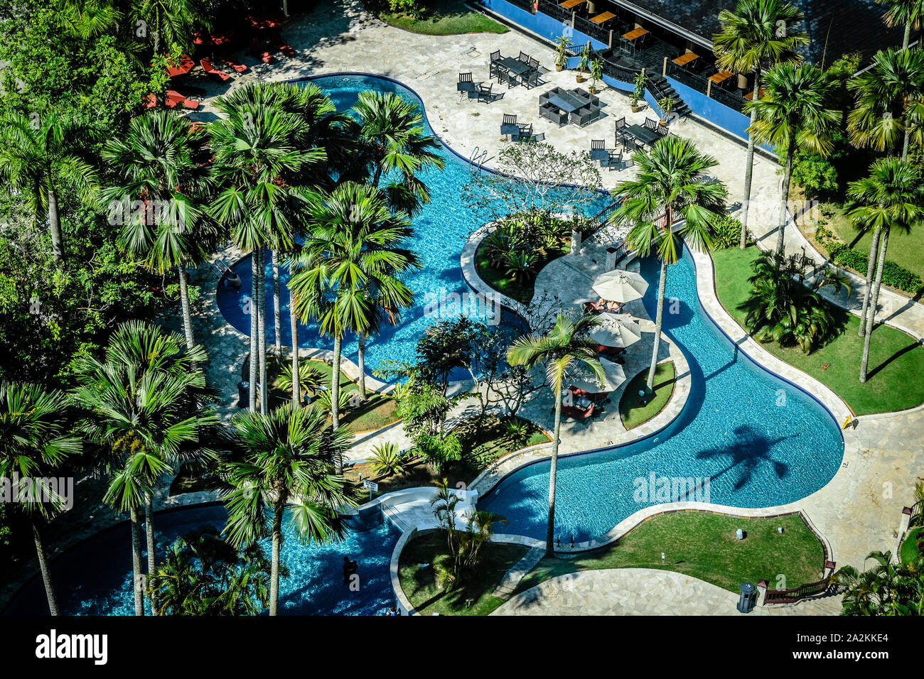 Beautiful Outdoor Swimming Pool Surrounded By Tropical Coconut Trees Lounge Chairs Cabana Umbrellas Stock Photo Alamy