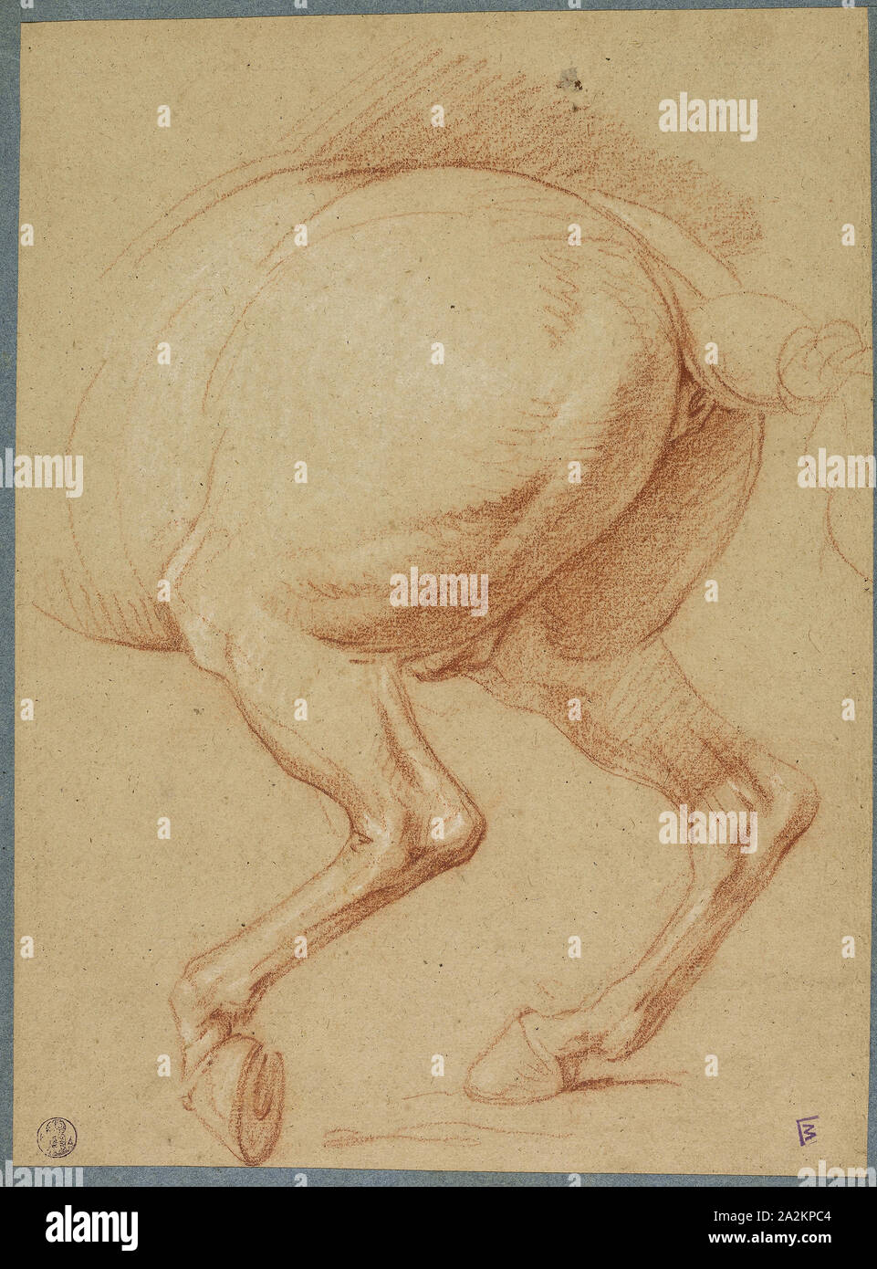 The Hind Legs of a Horse, n.d., Charles Le Brun, French, 1619-1690, France, Red and white chalk on brown laid paper, laid down on cream laid paper, with a blue laid paper border, 285 × 213 mm Stock Photo