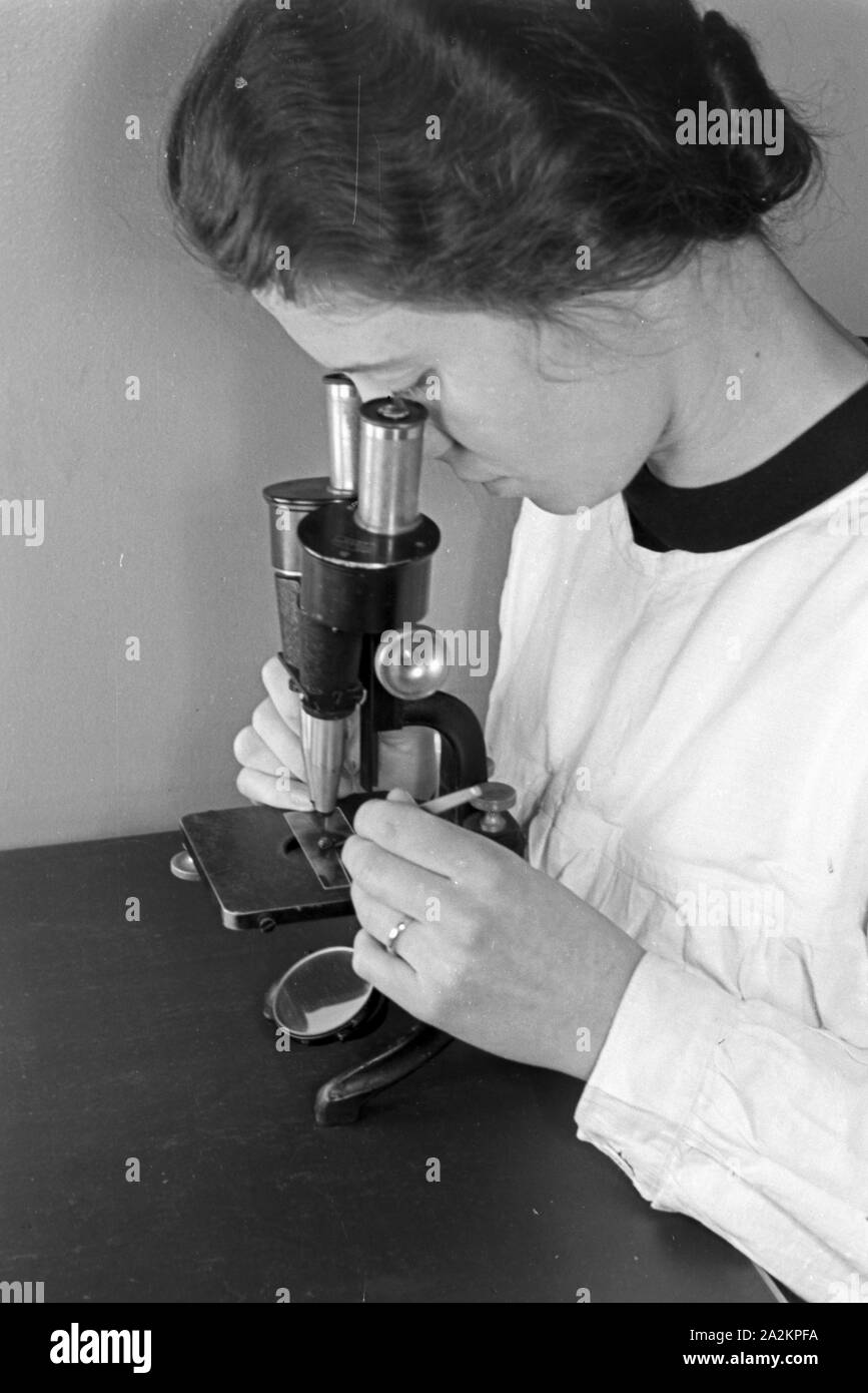 Mitarbeiterin vom Robert Koch Institut in Berlin im Kampf gegen die Tsetse-Fliege, Deutschland 1930er Jahre. Staff member of Robert Koch institute at Berlin doing researches in the fight against the Tsetse fly, Germany 1930s. Stock Photo