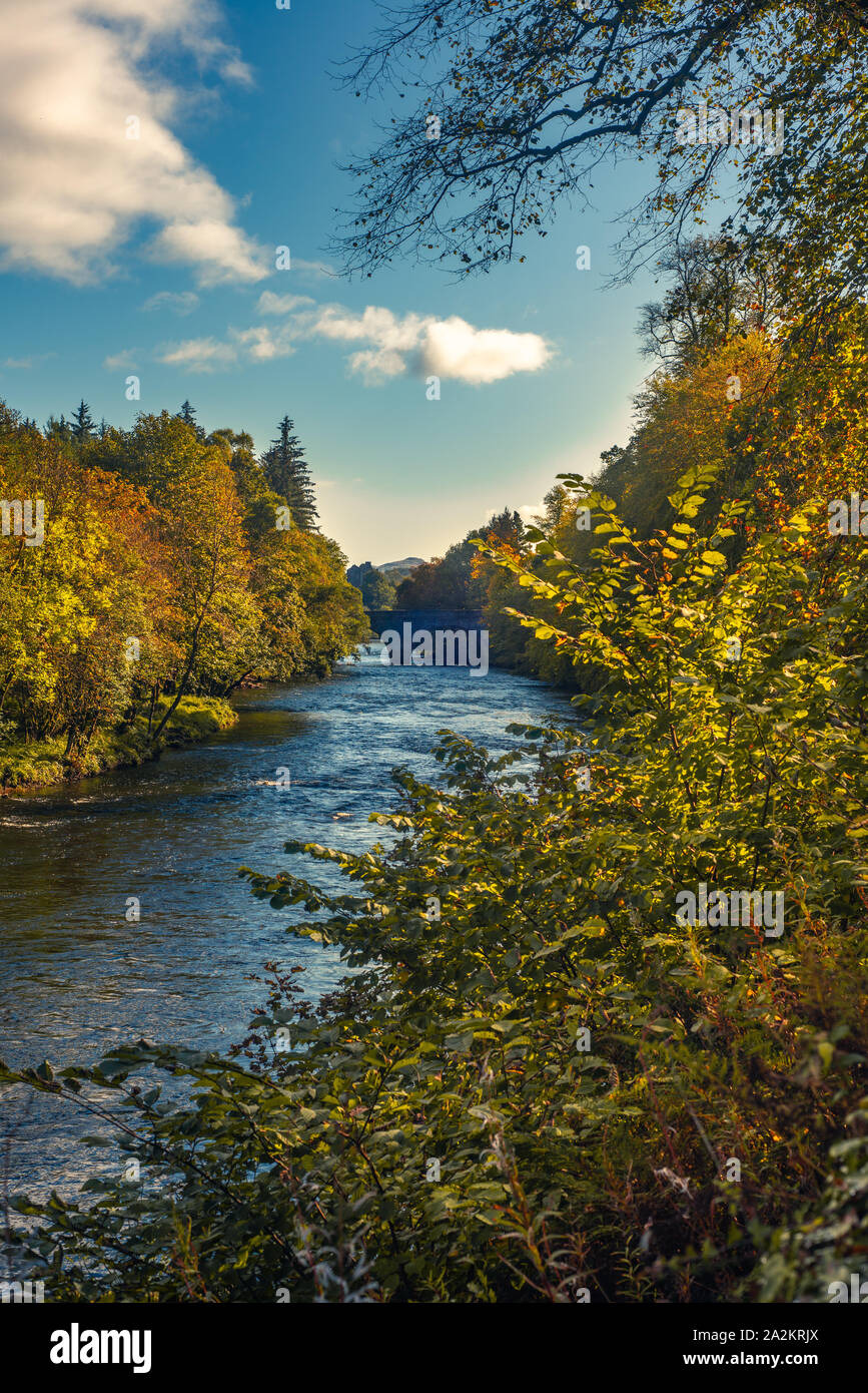 Fall Leaves on Trees on the Banks of the River Teith in Scotland with Doune Castle and Stone Bridge in the Background Stock Photo