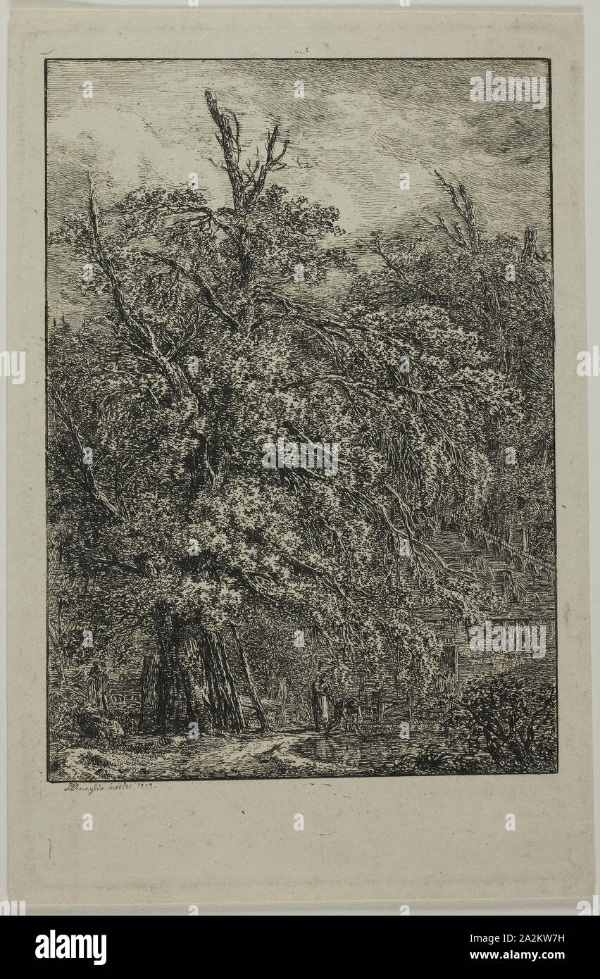 Great Tree, 1809, Domenico Quaglio II, German, 1787-1837, Germany, Etching on cream wove paper, 174 x 111 mm (plate), 182 x 119 mm (sheet Stock Photo