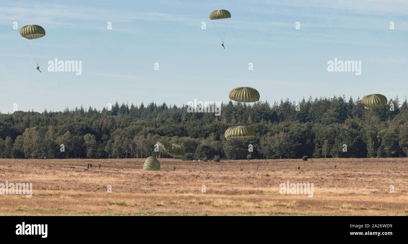 Ede,Holland,20-sept-2019:The airborne commemorations on Ginkel Heath with para drops with hundreds of parachutists dropped from hercules and dakota remebring the 75 year of operation market garden Stock Photo