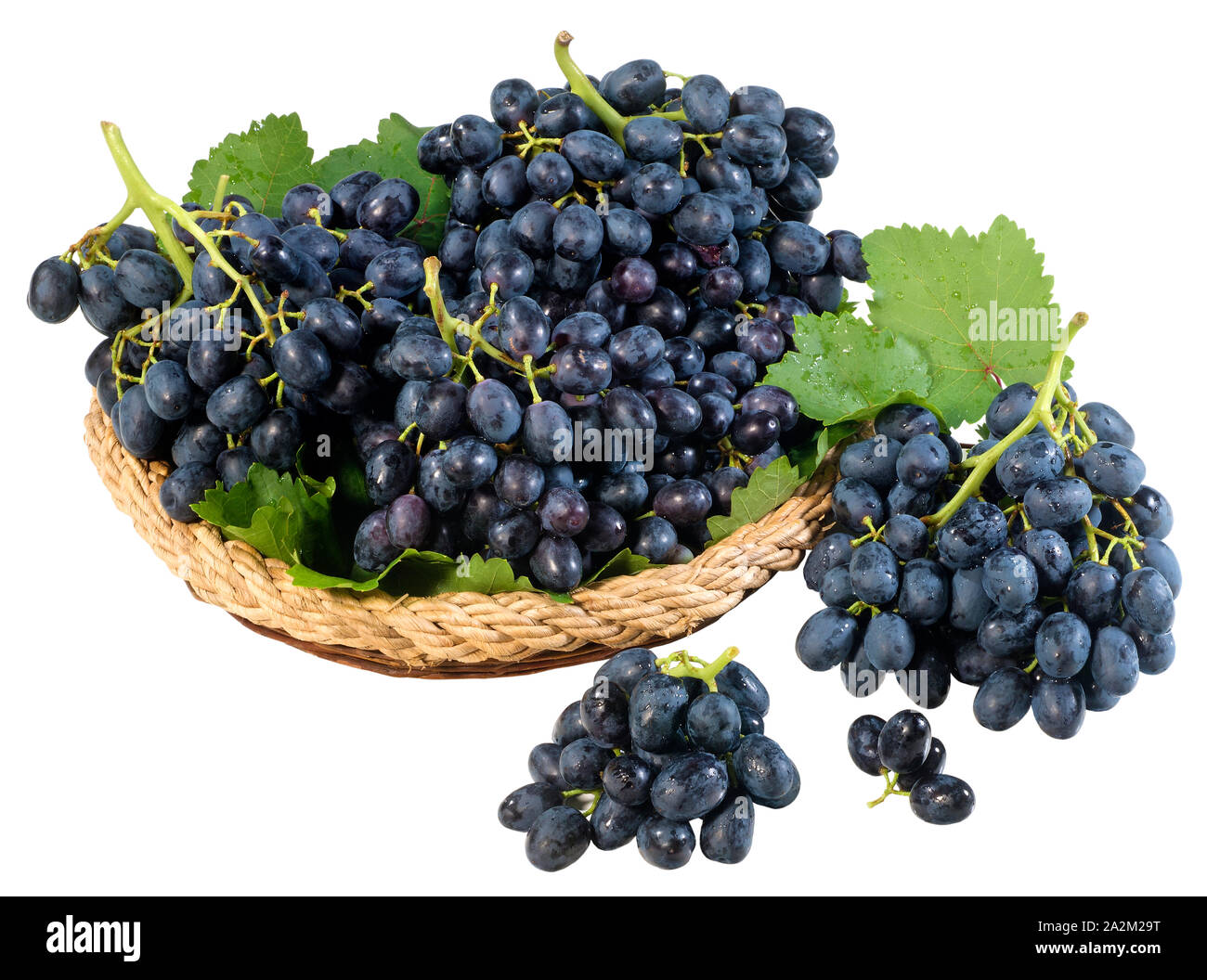Black grapes isolated on white background Stock Photo