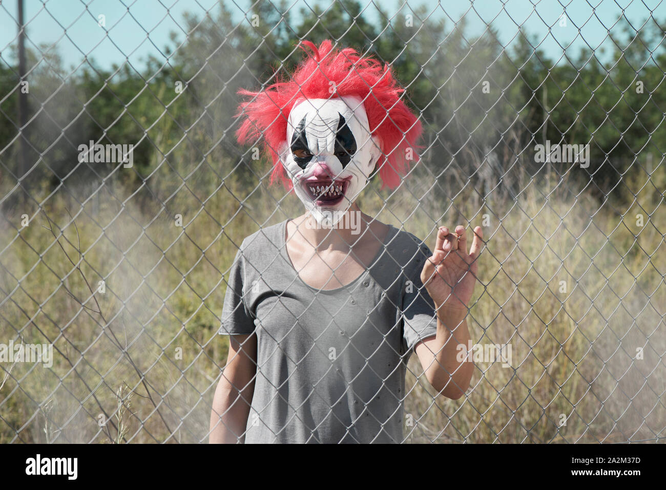 a scary clown looking to the observer with a threatening look through the wires of a fence, in front of an abandoned natural landscape Stock Photo