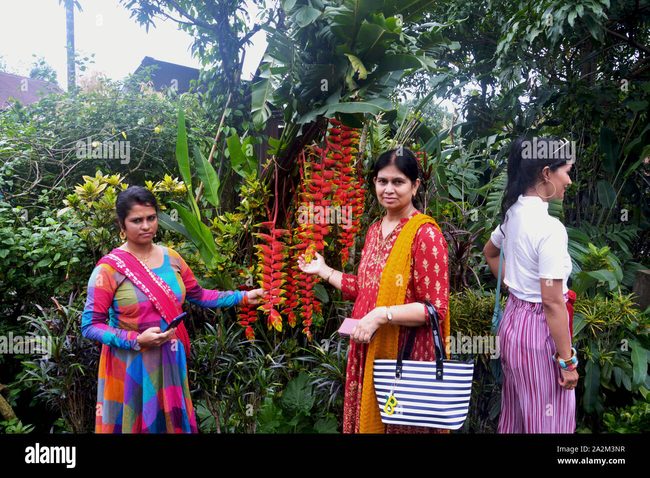Mawlynnong, Shillong, Meghalaya, India, 16 June 2019 : Two lndian lady tourist and a local lady holding Heliconia rostrata ( Lobster Claw Heliconia) Stock Photo
