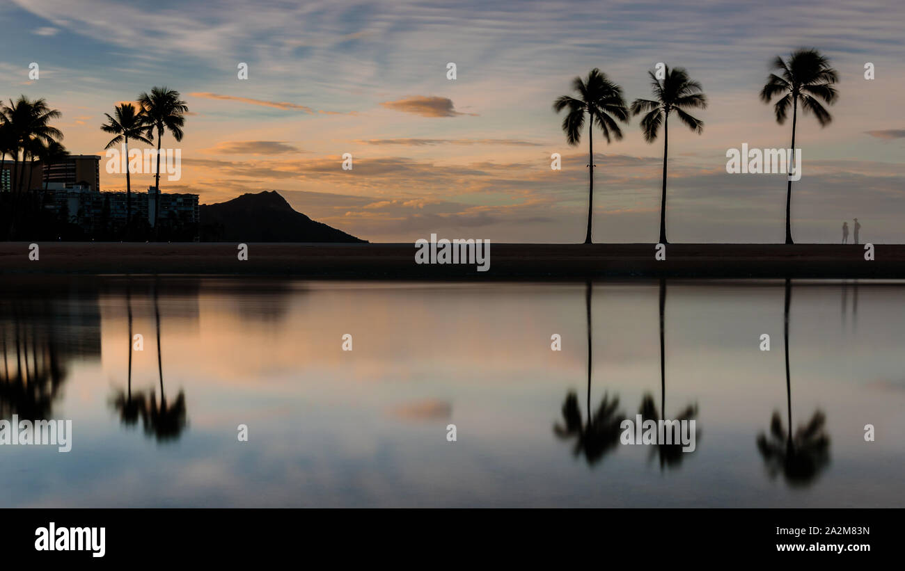 Hawaii beach palm trees hi-res stock photography and images - Alamy