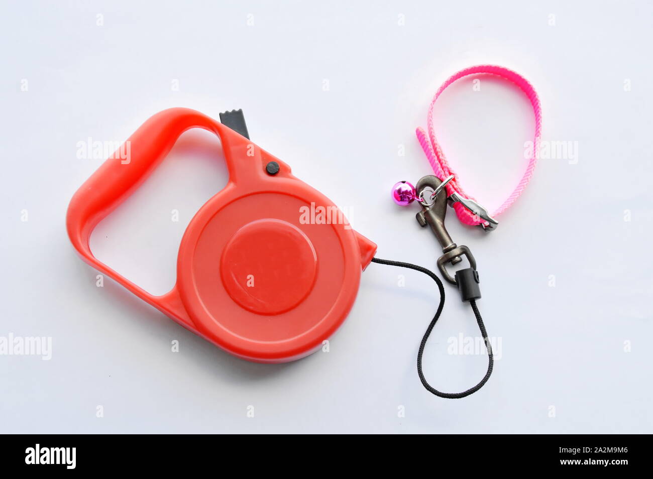 Nylon collar and leash hi-res stock photography and images - Alamy
