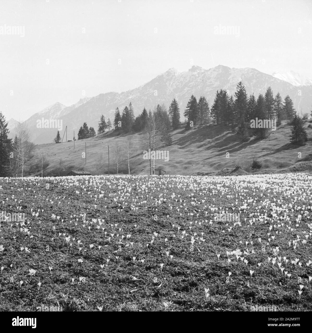 Berglandschaft im Frühling, Deutschland 1930er Jahre. Mountain landscape in spring time, Germany 1930s. Stock Photo