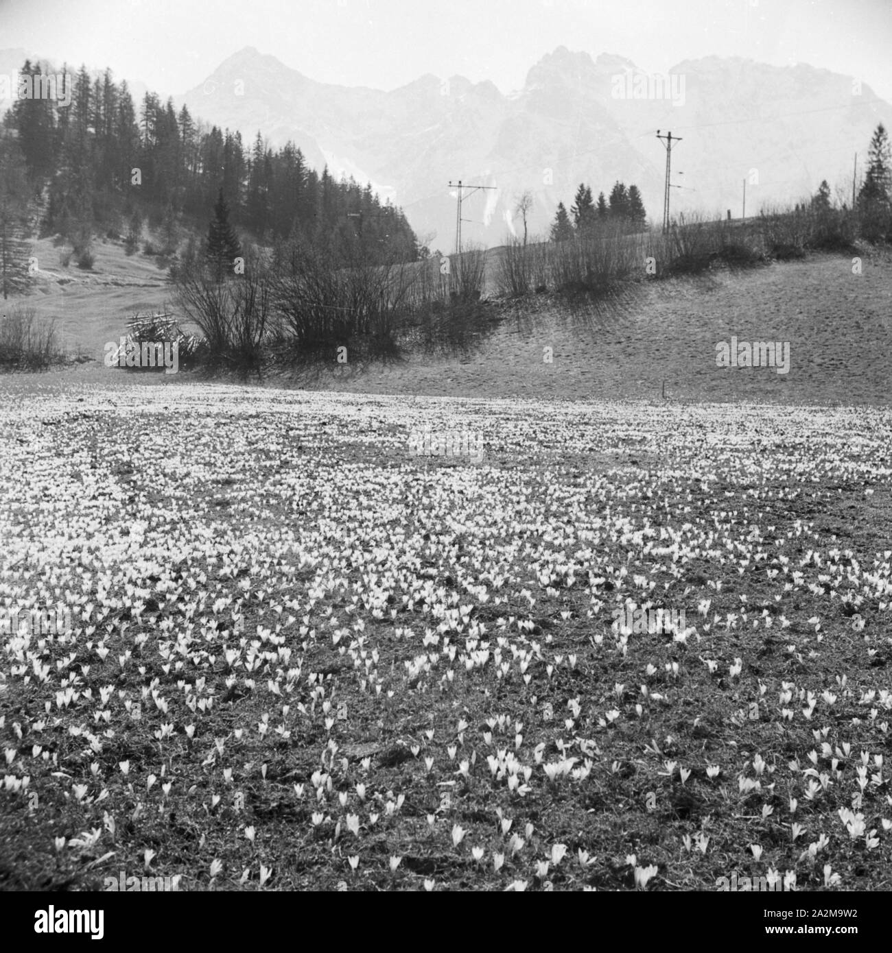 Berglandschaft im Frühling, Deutschland 1930er Jahre. Mountain landscape in spring time, Germany 1930s. Stock Photo