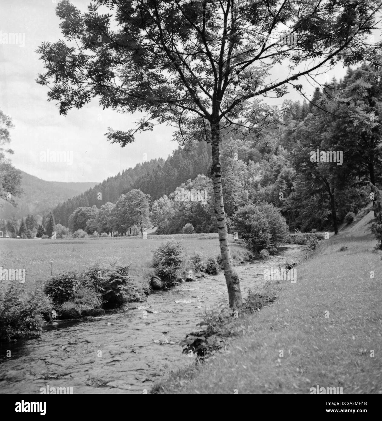 Impression aus der deutschen Landschaft, Deutschland 1839er Jahre. Impression from the German landscape, Germamy 1930s. Stock Photo