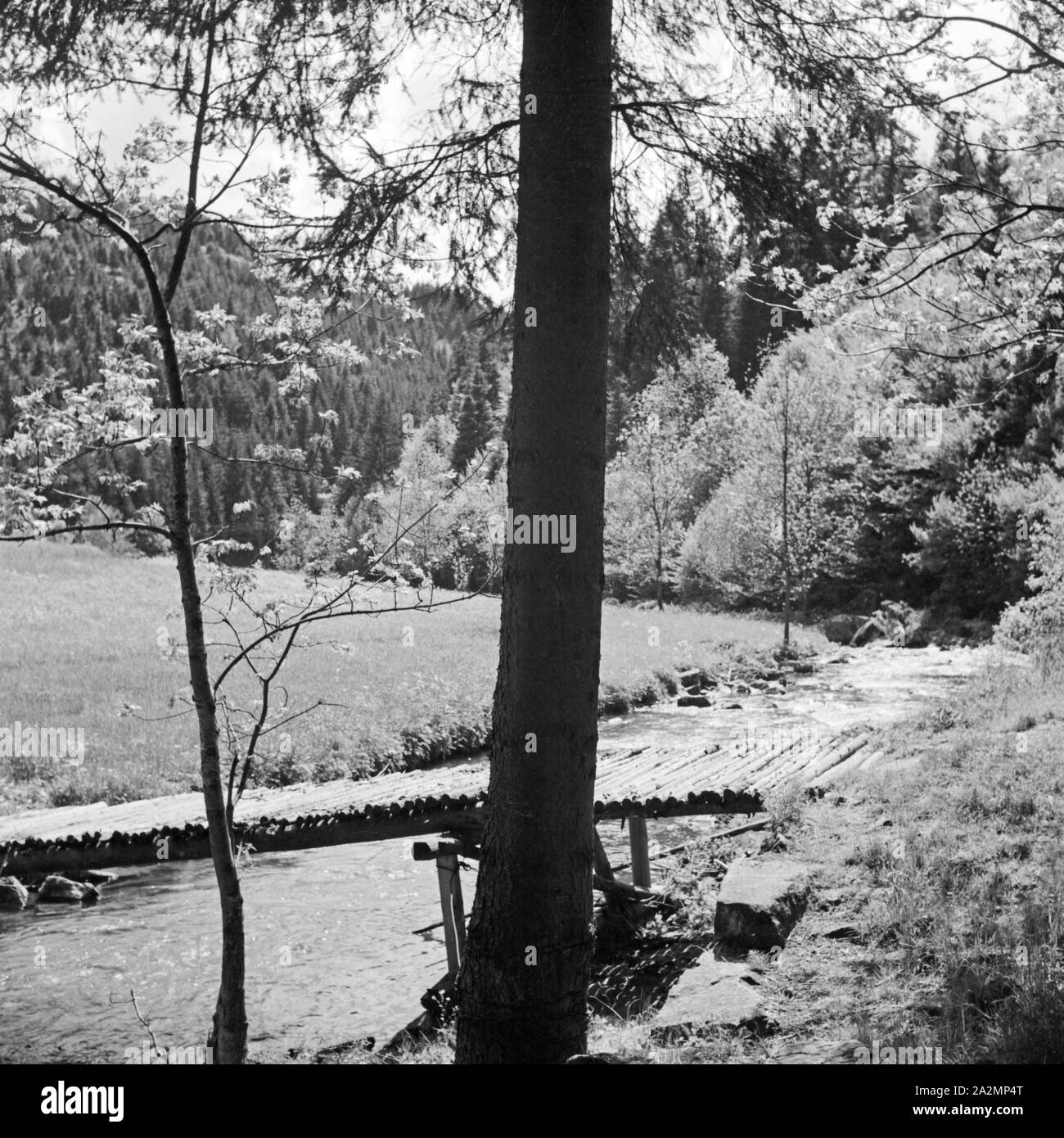 Im Schwarzwald, Deutschland 1930er JAhre. At the Black Forest, Germany 1930s. Stock Photo