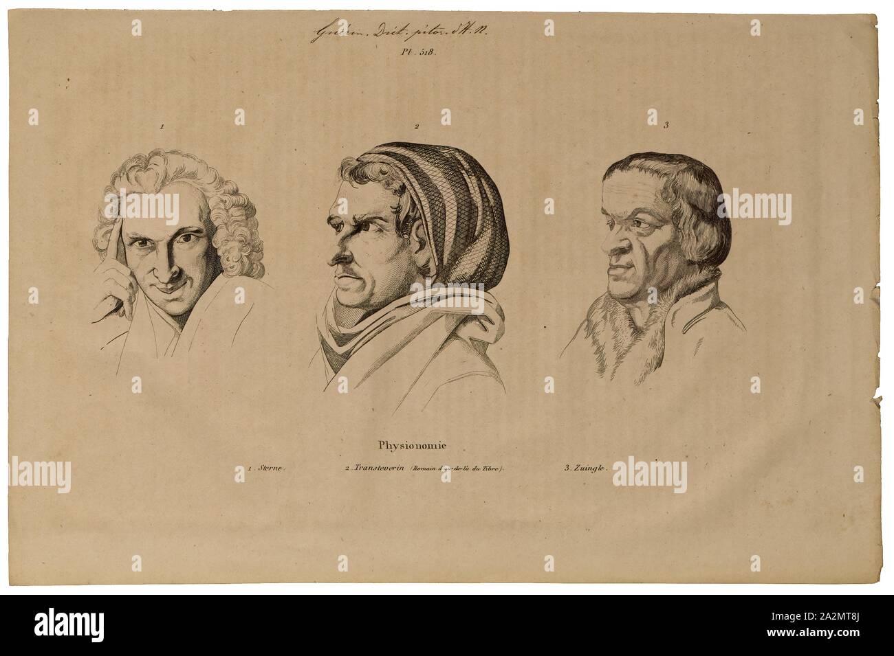 Homo sapiens, Print, Homo sapiens is the only extant human species. The ...