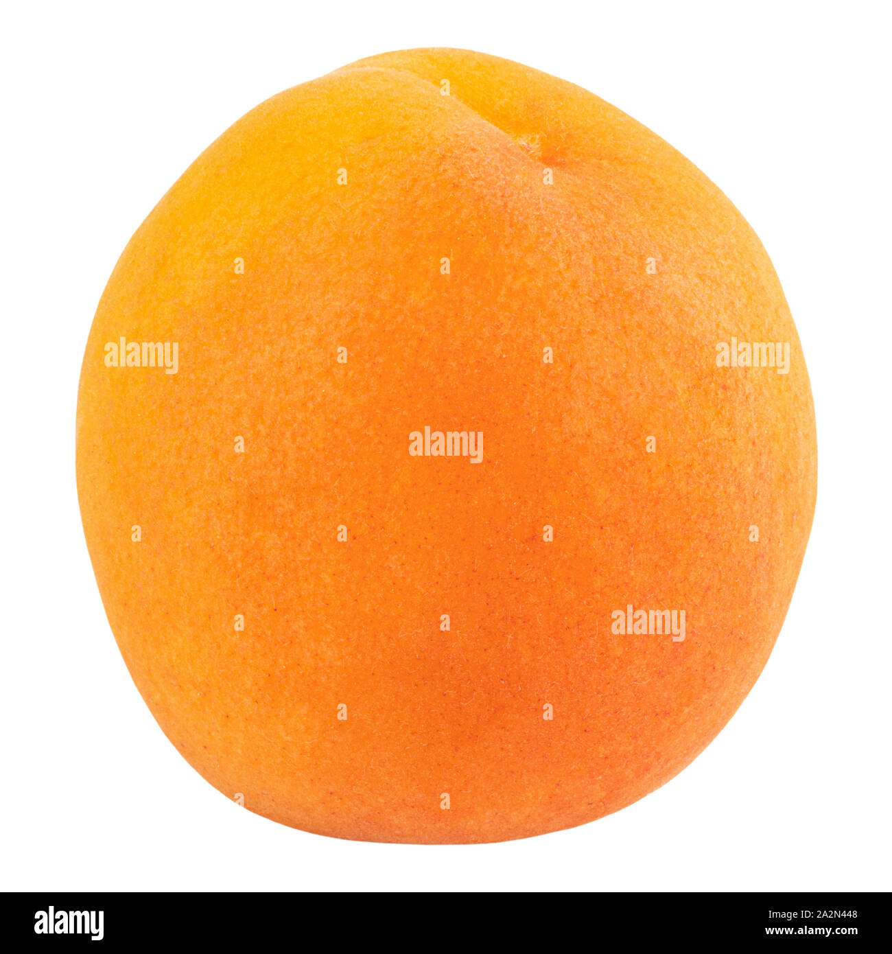 Apricot isolated on white background. Clipping Path Stock Photo - Alamy