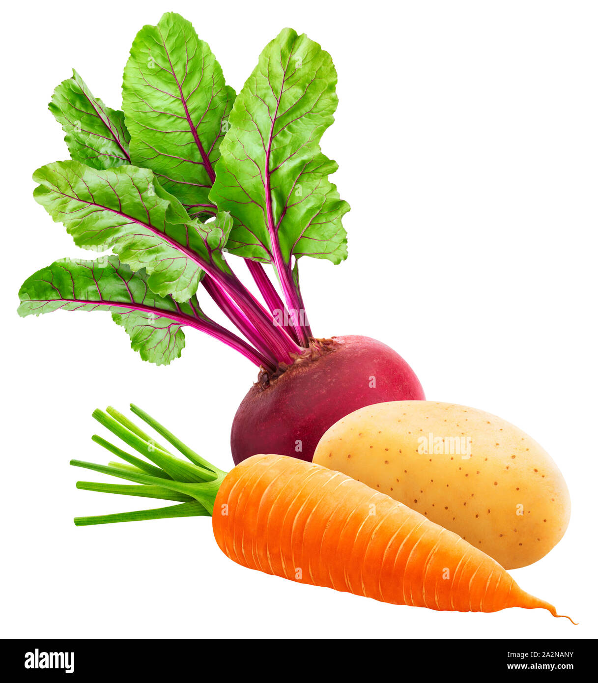 Fresh vegetables, heap of whole carrot, potato and beetroot isolated on white background Stock Photo