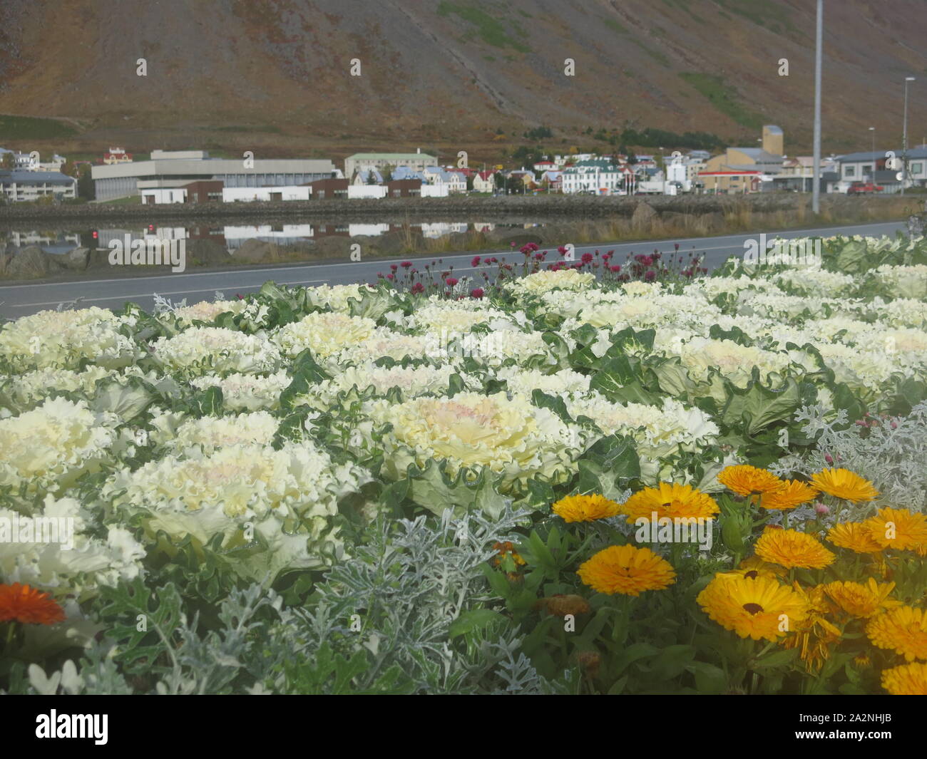 Bedding in bay hi-res stock photography and images - Alamy