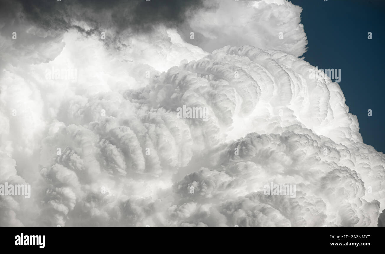 Cumulus clouds with well-defined texture and great contrast Stock Photo