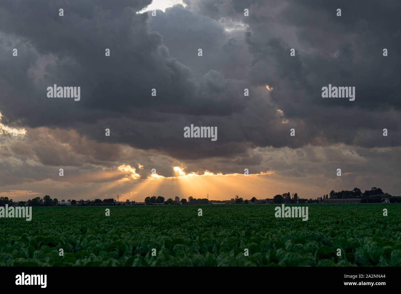 Radiant sun rays hi-res stock photography and images - Alamy