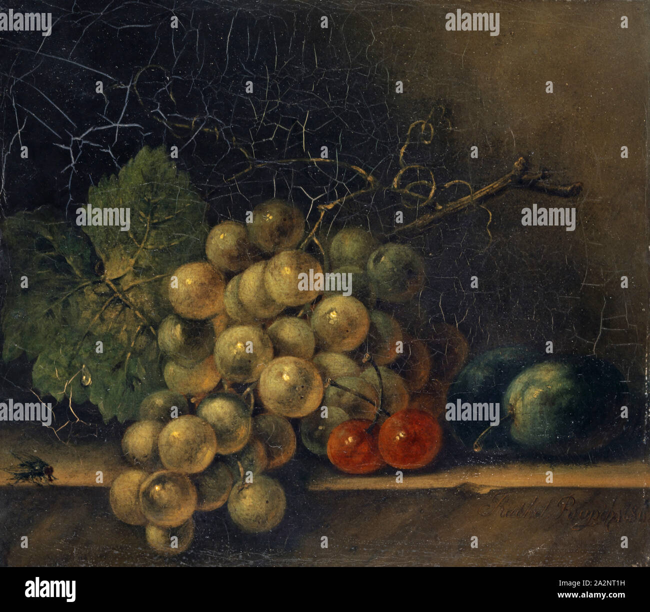 Still Life with Grape, Stone Fruit and Fly, 1686, oil on canvas, 18.5 x 20.5 cm, unsigned, Rachel Ruysch, (Fälschung / fake (?)), Amsterdam 1664–1750 Amsterdam Stock Photo