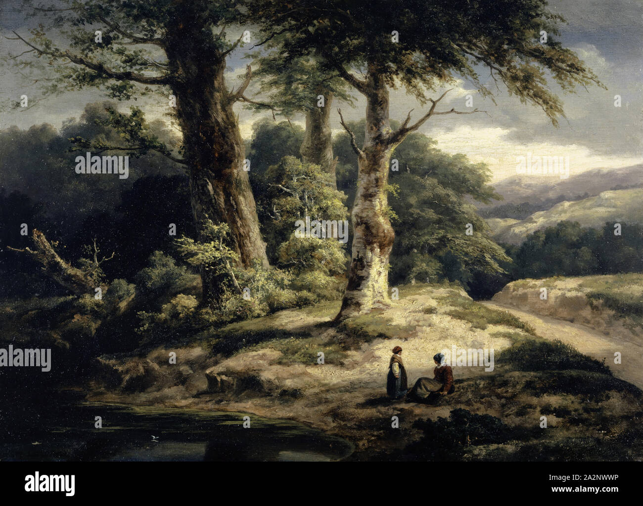 Forest landscape, 1840-1845, oil on oak wood, 39 x 53.7 cm, Alexandre Calame, Vevey 1810–1864 Menton Stock Photo