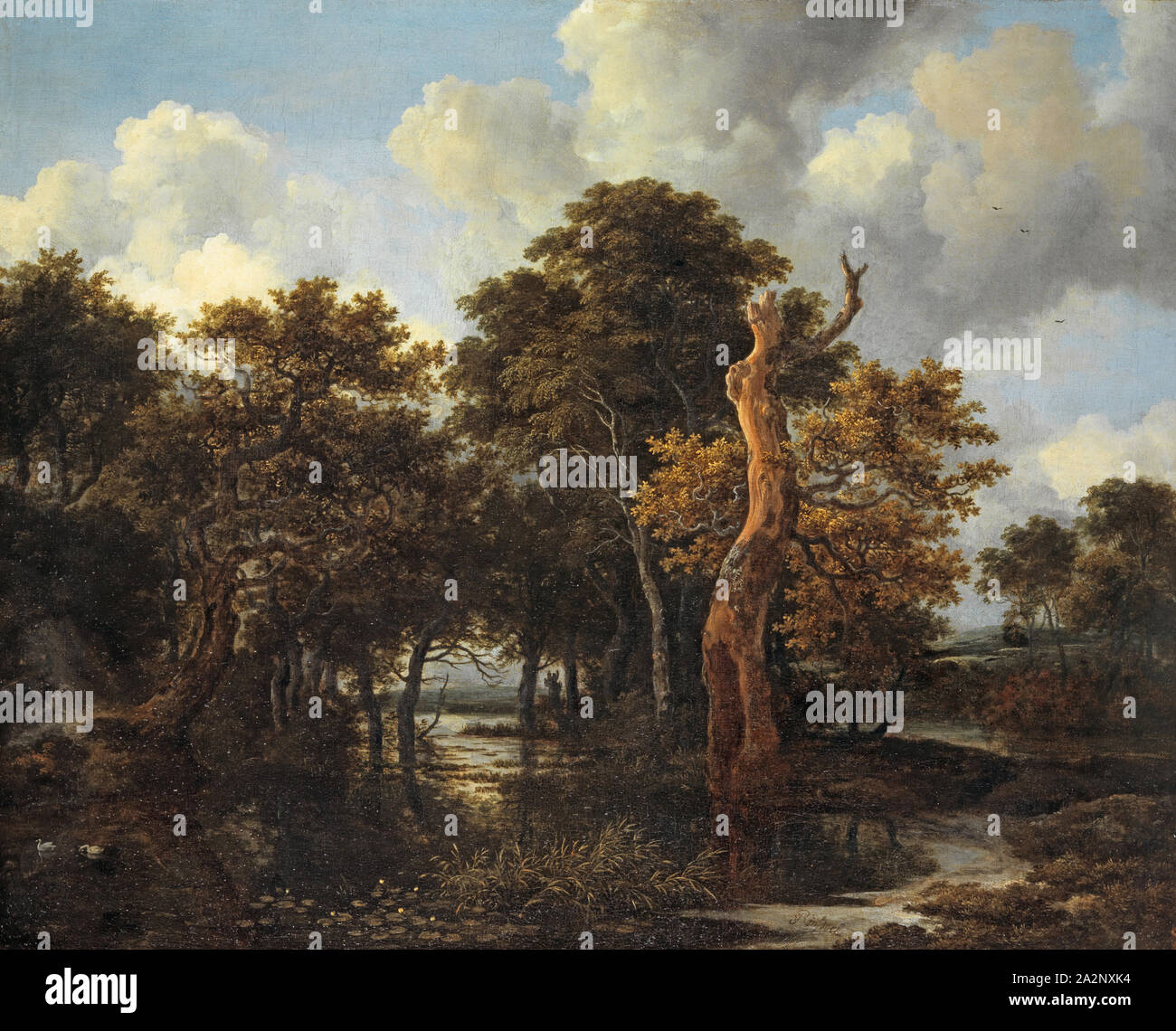 Woody swampy landscape with dead tree, c. 1665, oil on canvas, 59.9 x 74.2 cm, signed lower middle right: vRuisdael [v and R ligated], Jacob Isaacksz. van Ruisdael, Haarlem 1628/29–1682 Amsterdam Stock Photo