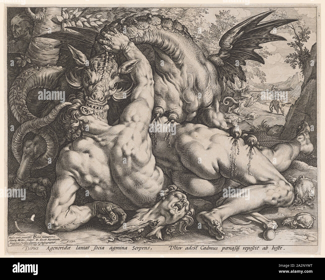 The Dragon Kills the Cadmus's Companions, 1588, Copperplate, Plate: 25.4 x 32.1 cm |, Leaf: 25.8 x 32.5 cm, U. l., inscribed: Hasce artis primitias CC [lig.] Pictor Inuent., simulq [ue] HGoltz., [HG lig.] Sculpt., D. Jacob., Raeuwerdo, singulari Pictur [a] e alumno, et chalcographiæ, admiratori amicitæ ergo D. D ., r., Dated: A ° 1588, inscribed under the image field: Dirus Agenoridæ laniat socia agmina serpens, Vltor adest cadmus pœnasq [ue] reposcit ab hoste., Hendrick Goltzius, Stecher, Mühlbrecht 1558–1617 Haarlem, Cornelis Cornelisz. van Haarlem, Inventor, 1562–1638 Stock Photo