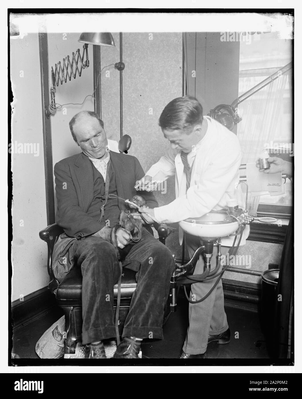 Teeth study Black and White Stock Photos & Images - Alamy