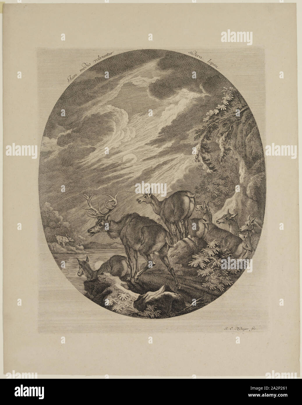 Gravure Originale Du 18ème Siècle De Johann Elias Ridinger - Piège à Blaireau, Encadrée, état Très Bon