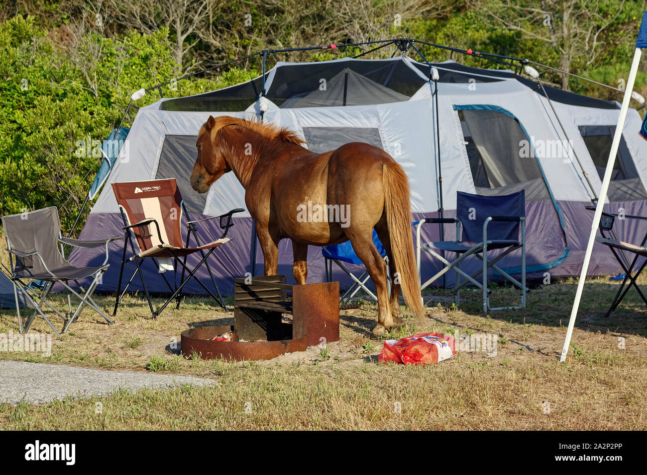 Tent Chairs High Resolution Stock Photography And Images Alamy