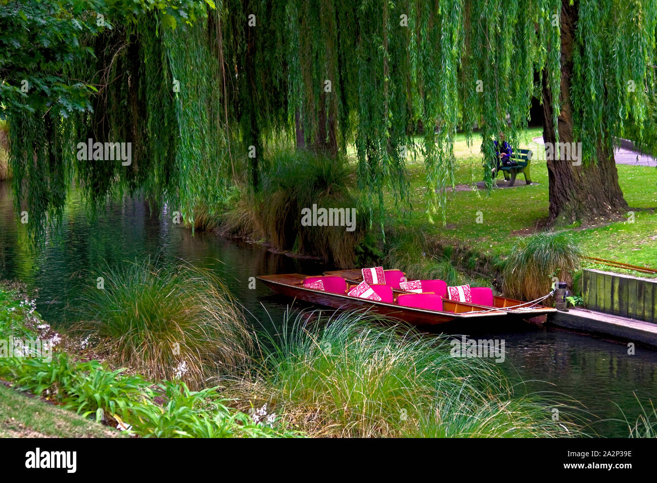 2 punting boats, tied up; waiting; recreation; ride; colorful cushions, Avon River; weeping willow tree; serene, Christchurch; New Zealand; summer; ho Stock Photo