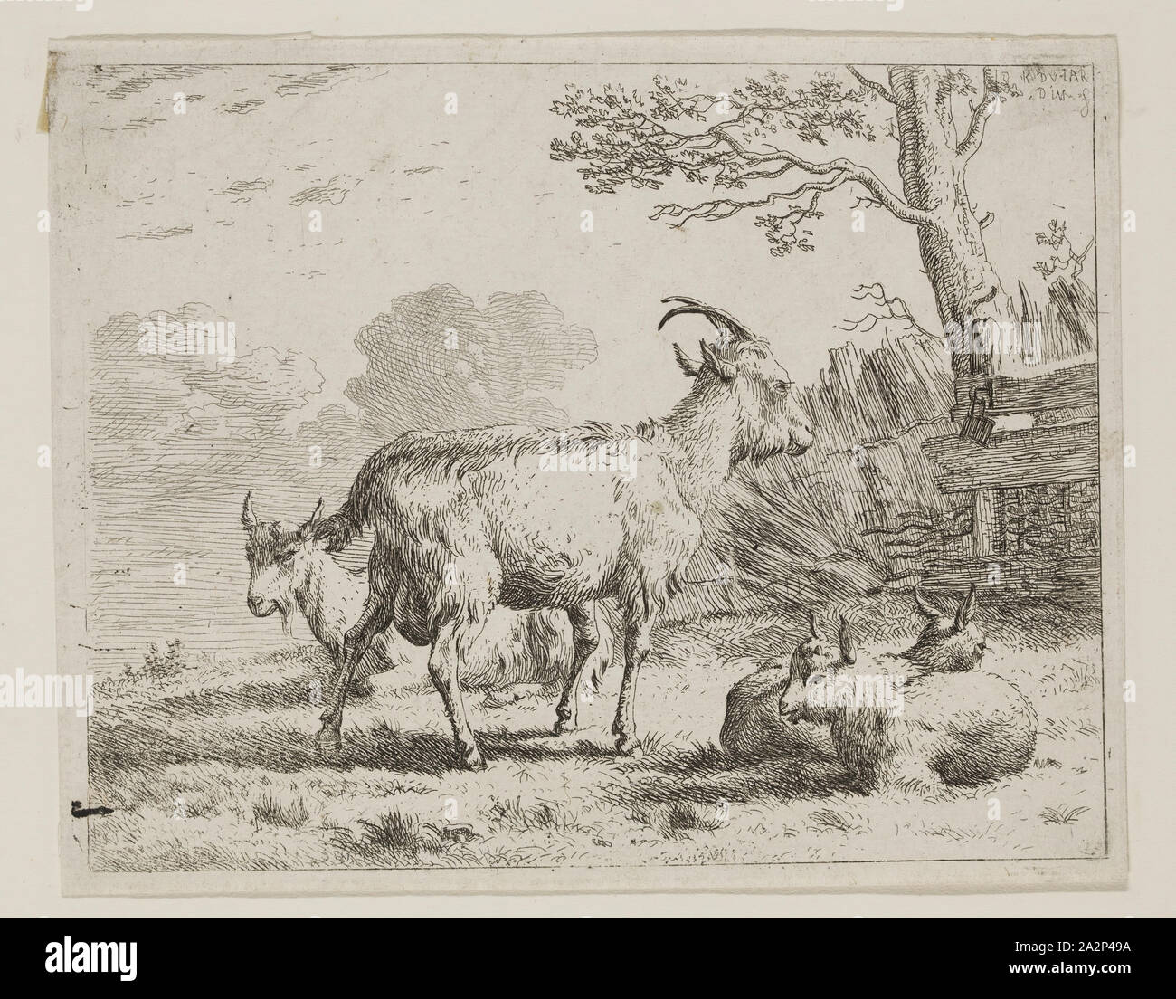 Karel Dujardin, Dutch, 1622-1678, Four Goats, ca. 1658, etching printed in black ink on laid paper, Plate: 4 7/8 × 6 1/8 inches (12.4 × 15.6 cm Stock Photo