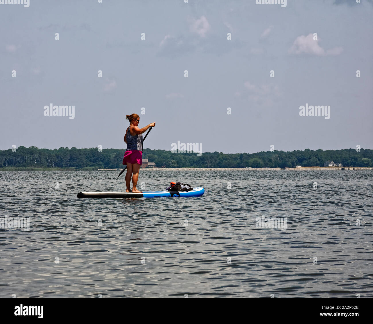 woman paddling board, balance, skill, sport, recreation, water activity; Sinepuxent Bay; Assateague Island national Seashore; USA; Berlin; MD; Marylan Stock Photo