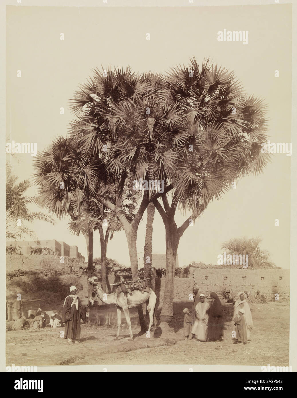 Anonymous Artist, View of an Egyptian Village, 19th century, albumen print Stock Photo