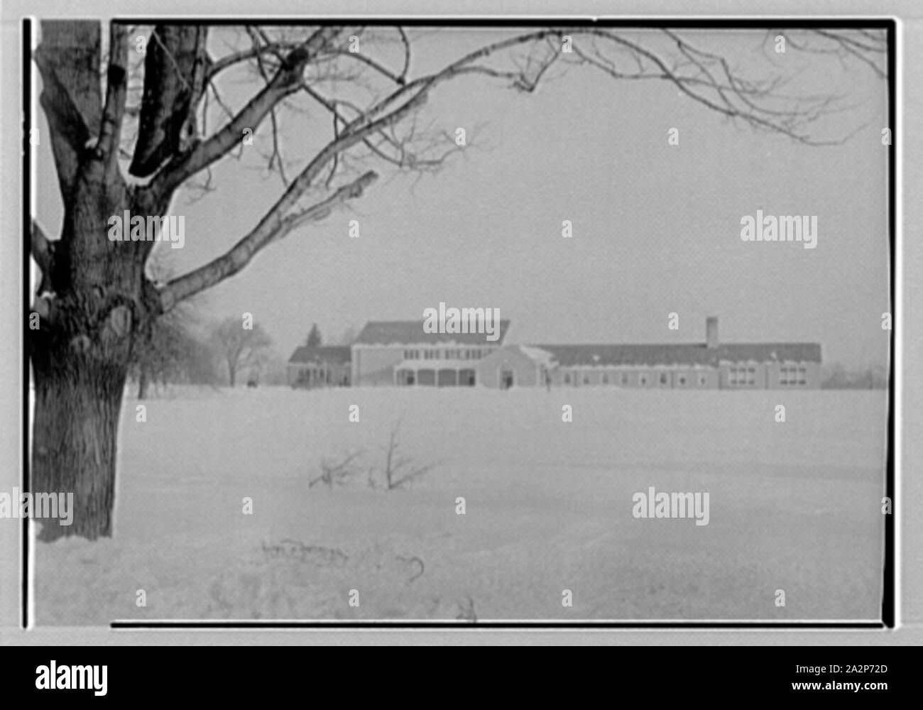 Quaker Ridge Elementary School, Weaver St., Scarsdale, New York Stock