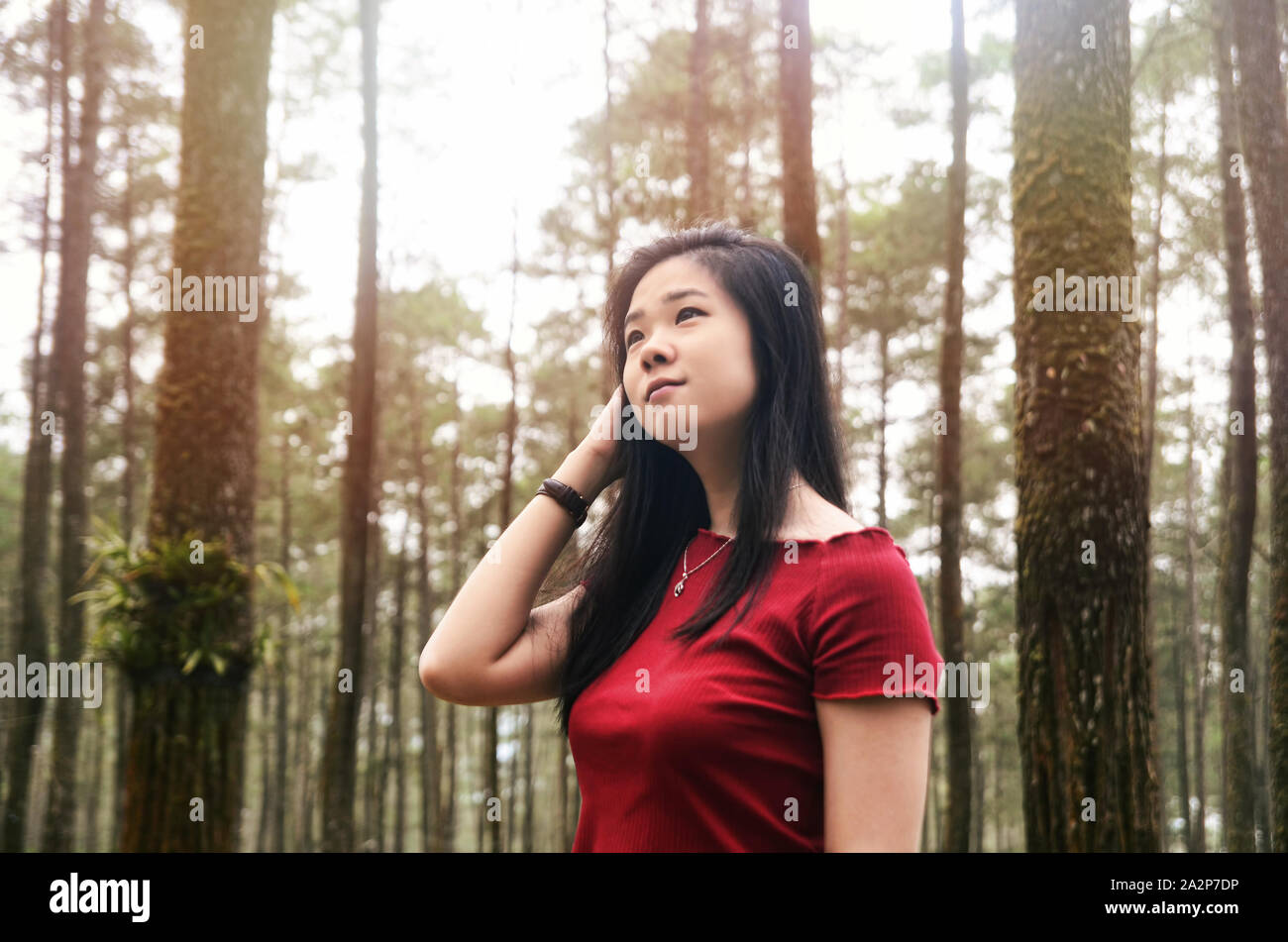 Chinese Indonesian girl in red dress in the middle of pine forest Stock Photo