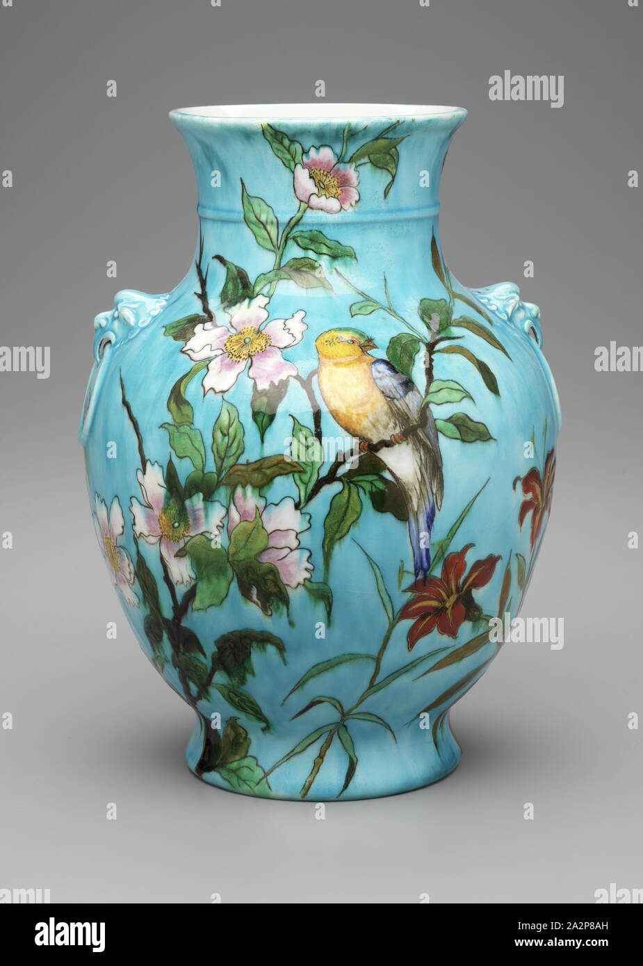 Physikalisch Garten Fokus Deck 13 1 2 Batterie Nimm Medizin Ernest Shackleton physikalisch-garten-fokus-deck-13-1-2-batterie-nimm-medizin-ernest-shackleton