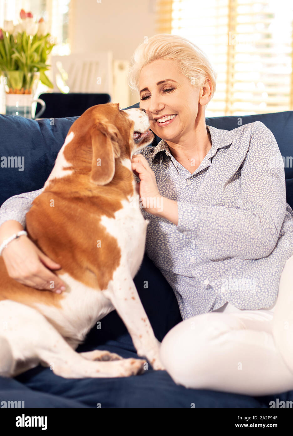 Woman relaxing with her dog on sofa hi-res stock photography and images ...