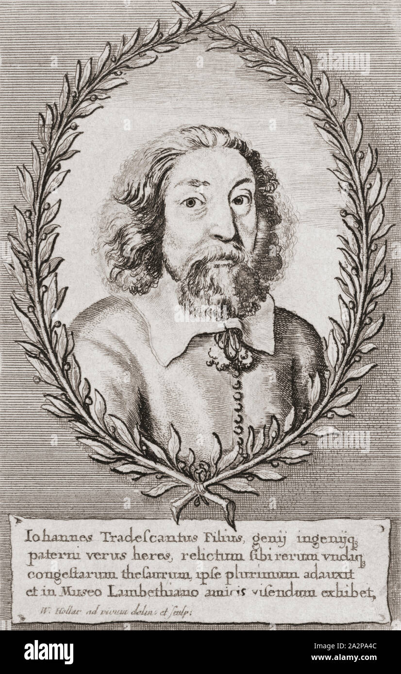 John Tradescant the Younger, 1608 – 1662.  English botanist and gardener.   No to be confused with his father, John Tradescant the Elder. Stock Photo