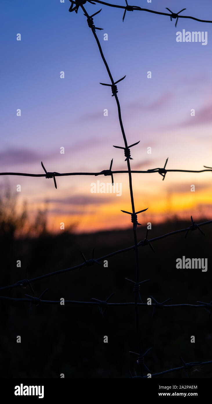 Black silhouette of barbed wire against the bright sunset Stock Photo ...