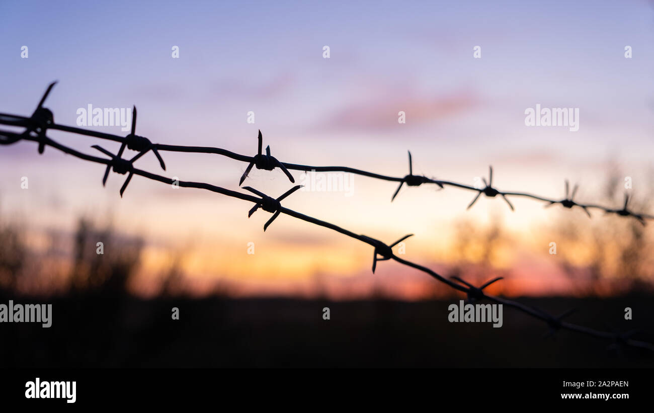 Black silhouette of barbed wire against the bright sunset Stock Photo ...