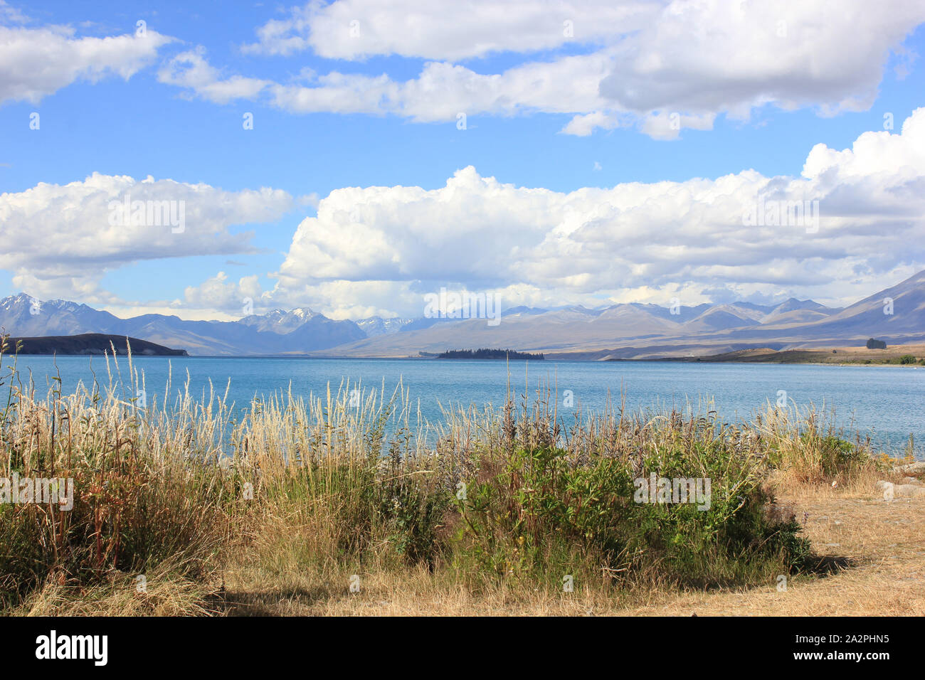 Lake Tekapo seen from the steppe Stock Photo - Alamy