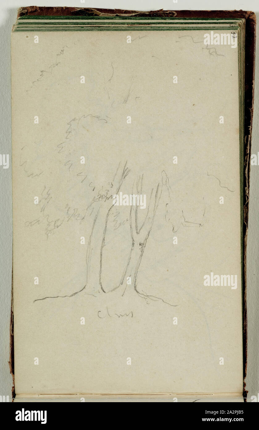 Thomas Cole, American, 1801-1848, (Untitled, sketch of a tree), ca. 1833, graphite pencil on off-white wove paper, Sheet: 4 1/8 × 6 1/2 inches (10.5 × 16.5 cm Stock Photo