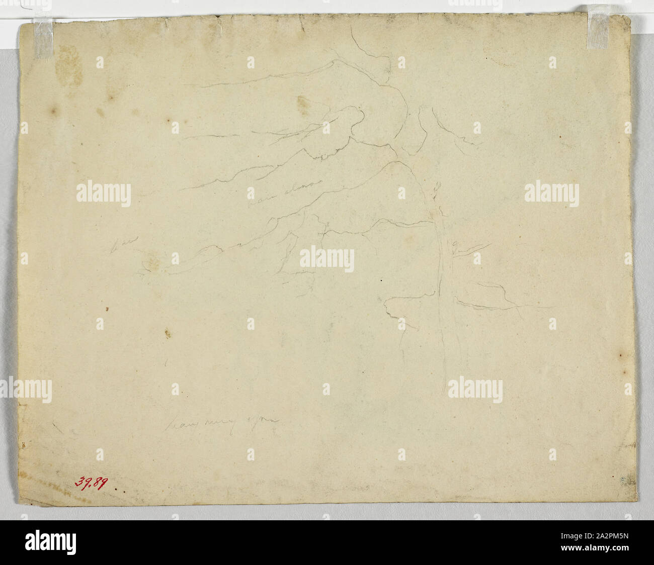 Thomas Cole, American, 1801-1848, Sketch of a Tree, between 1801 and 1848, graphite pencil on tan wove paper, Sheet: 8 5/8 × 10 7/8 inches (21.9 × 27.6 cm Stock Photo