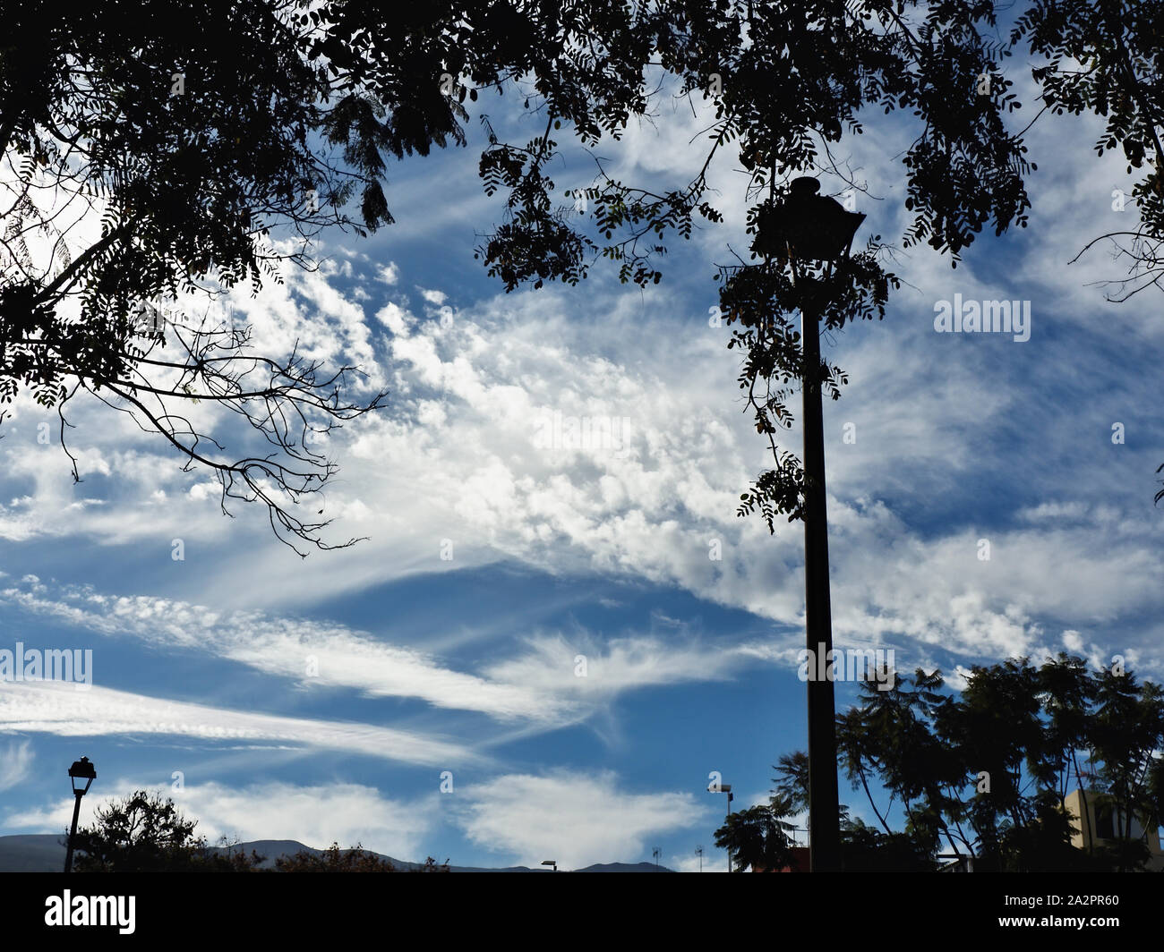 cool, unusual clouds with white clouds, partly blurred and in the optics of an Auarelle, in the picture above in black the silhouette of a tree branch Stock Photo