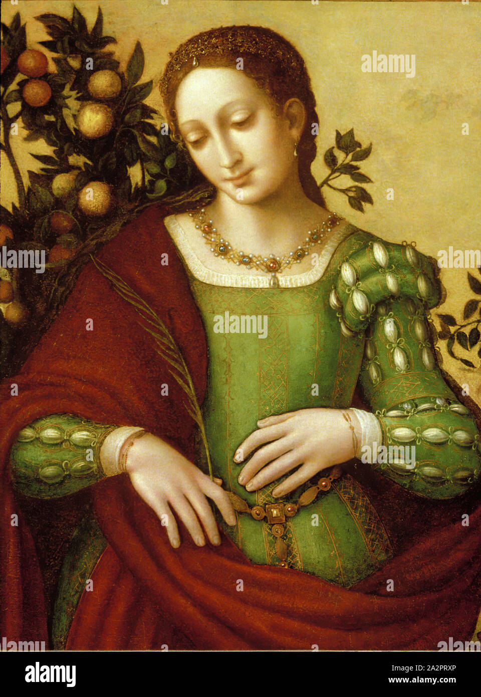 Francesco Melzi, Italian, 1493-1570, Female Saint, c. 1530, Paint on wood panel, Unframed: 25 1/2 × 19 1/8 inches (64.8 × 48.6 cm Stock Photo