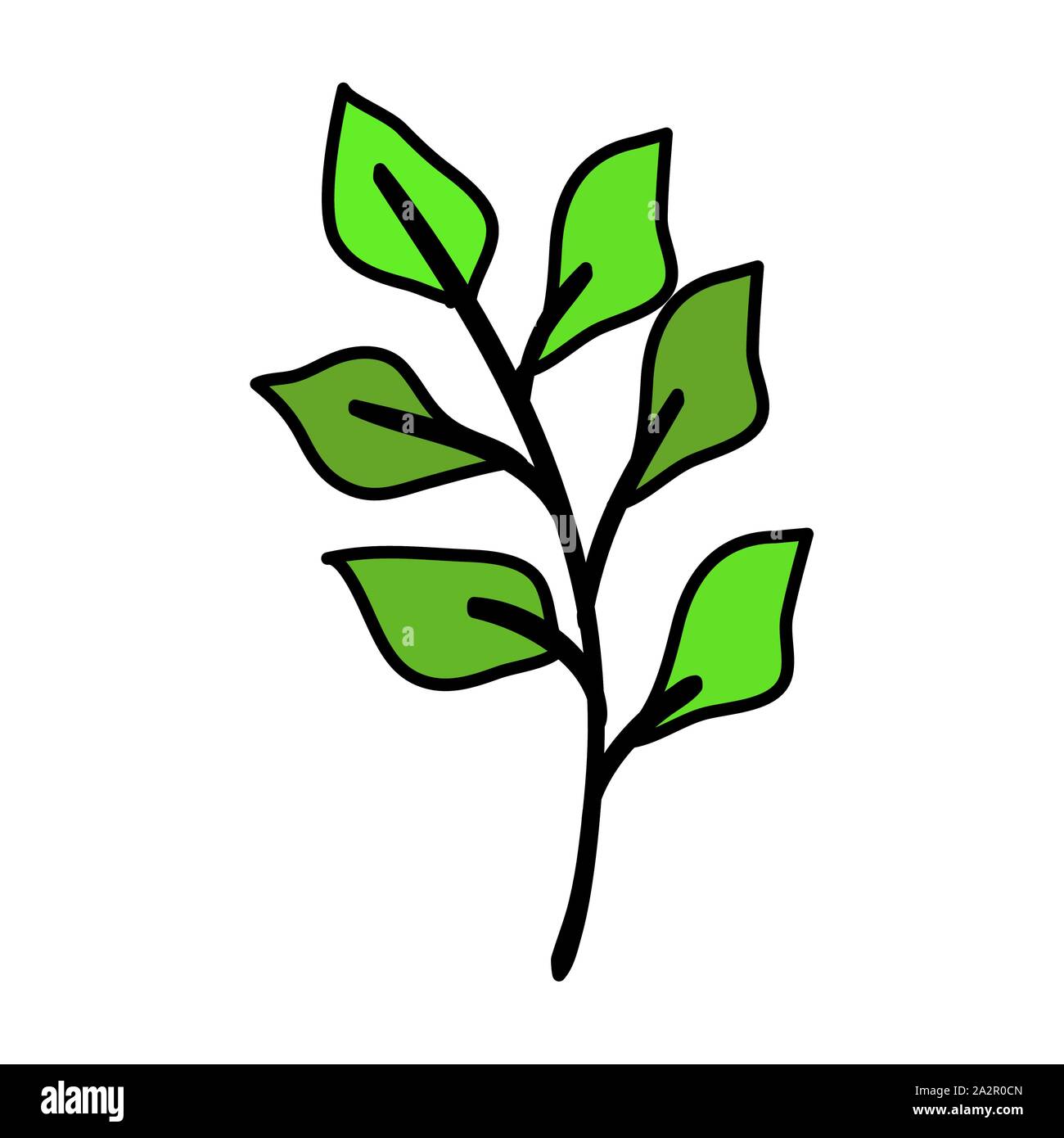 autumn branch with leafs isolated icon Stock Vector Image & Art - Alamy